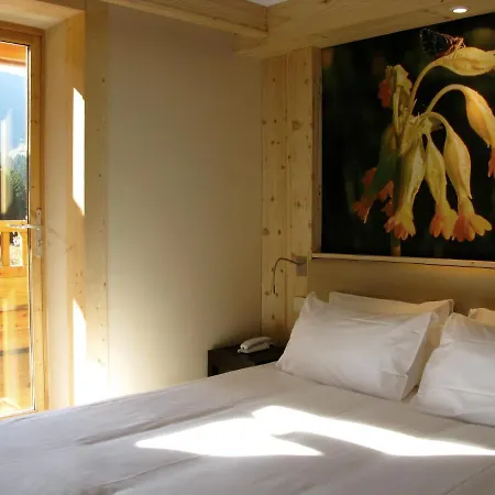Les Roches 1500 Hotel